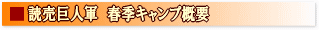 �t�G�L�����v�T�v