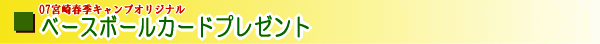 �x�[�X�{�[���J�[�h�v���[���g