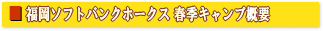 �t�G�L�����v�T�v