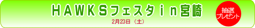 HAWKSフェスタin宮崎
