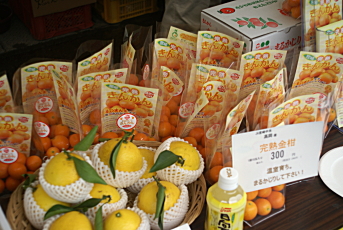 宮崎県産フルーツ