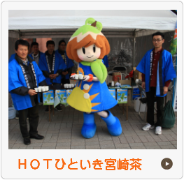 ＨＯＴひといき宮崎茶