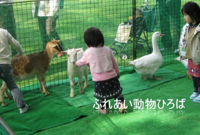 ふれあい動物ひろば