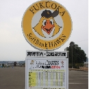 2/14　第3クール4日目
