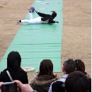 2/14　第3クール4日目