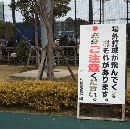 2/17　第4クール2日目