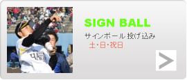 サインボール投げ込み