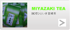 HOTひといき宮崎茶