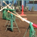 2/3　第1クール3日目