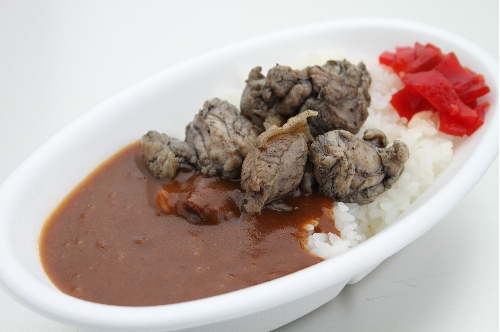 宮崎地鶏カレー