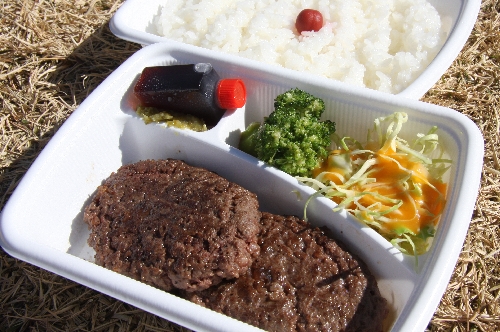 炭焼きハンバーグ・ライスセット