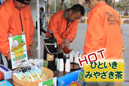 ＨＯＴひといき宮崎茶