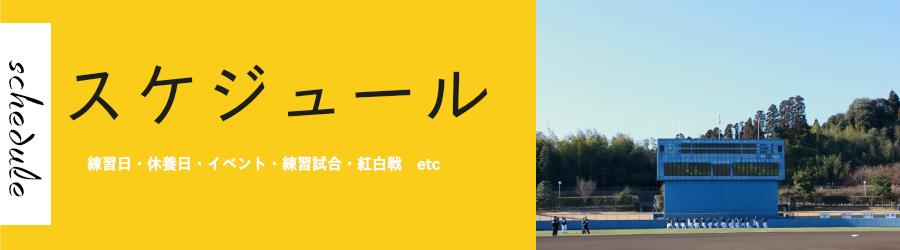 スケジュール