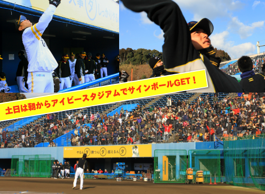 サインボール投入れ