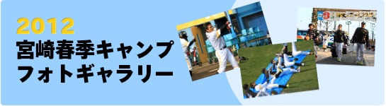 フォトギャラリー