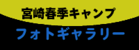 フォトギャラリー