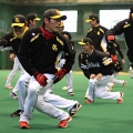 2/6（月）