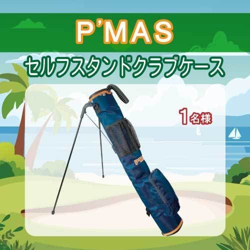 セルフスタンドクラブケース